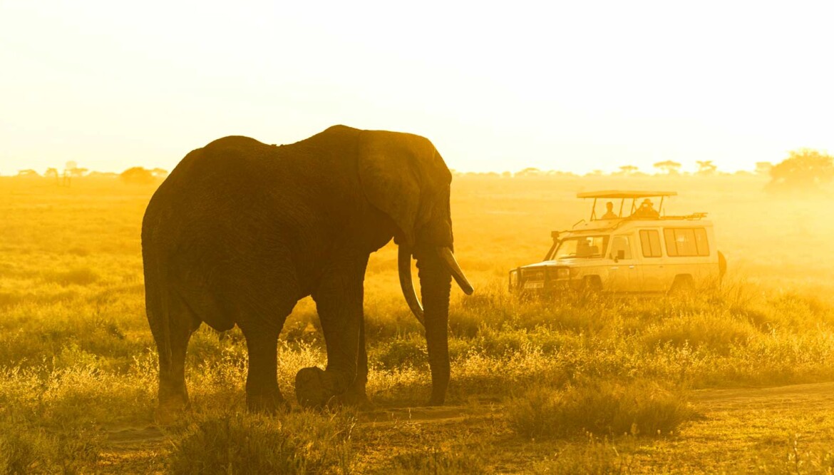 4 Day Tarangire, Ngorongoro & Lake Manyara