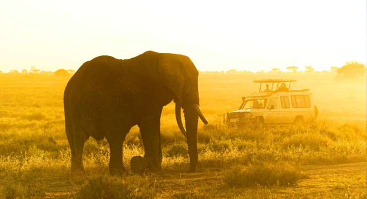 4 Day Tarangire, Ngorongoro & Lake Manyara