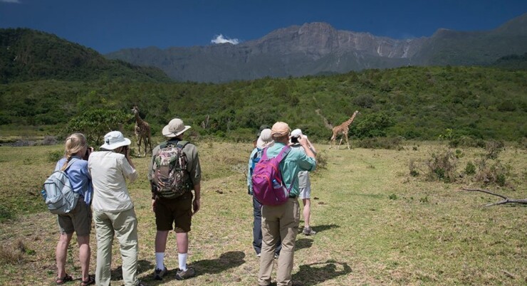 DAY TOUR ARUSHA NATIONAL PARK