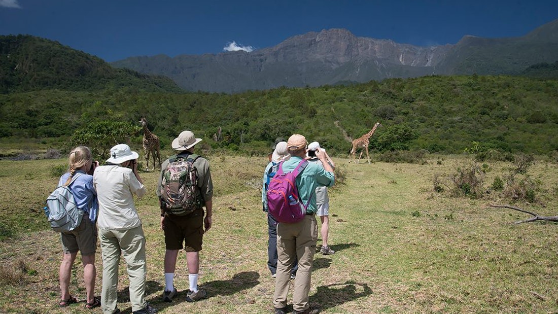 DAY TOUR ARUSHA NATIONAL PARK