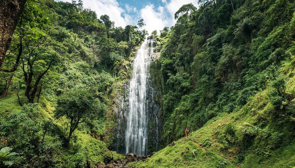 Materuni Water Falls