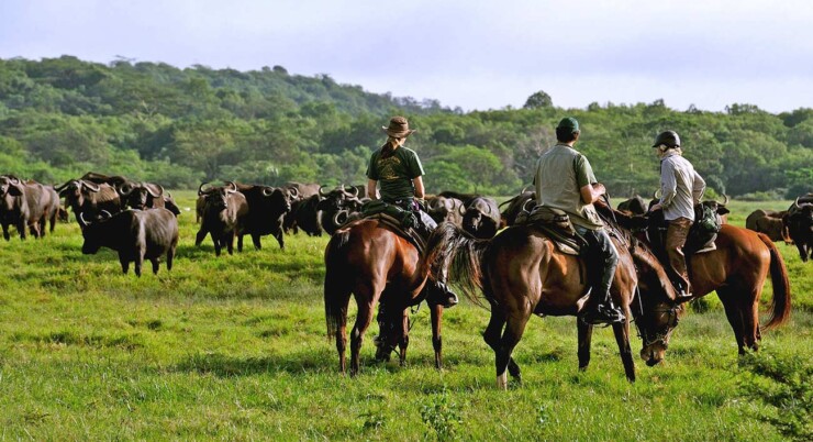 Horse riding in Arusha