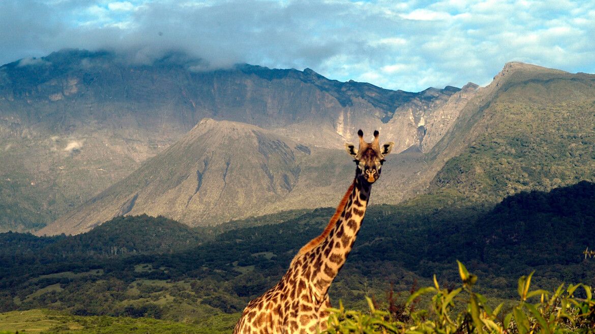 ARUSHA NATIONAL PARK – A Hidden Gem on Mount Meru’s Foothills