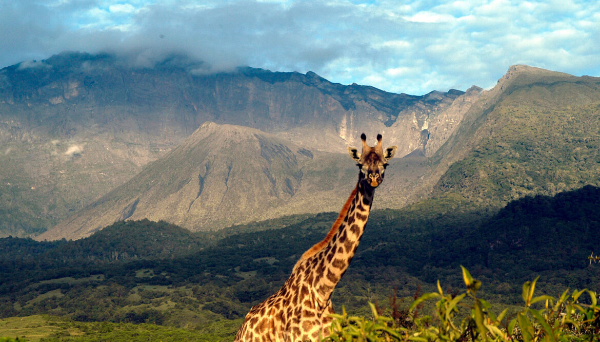 ARUSHA NATIONAL PARK – A Hidden Gem on Mount Meru’s Foothills