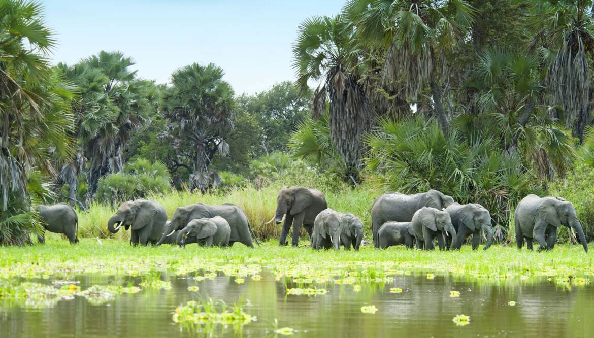 3-Day Adventure to Materuni, Tarangire & Ngorongoro Crater