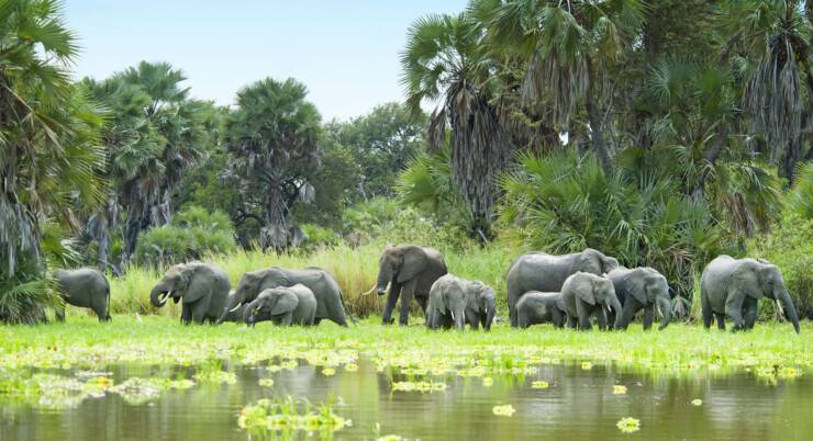 3-Day Adventure to Materuni, Tarangire & Ngorongoro Crater