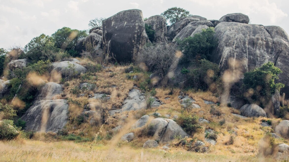 Saa Nane National Park