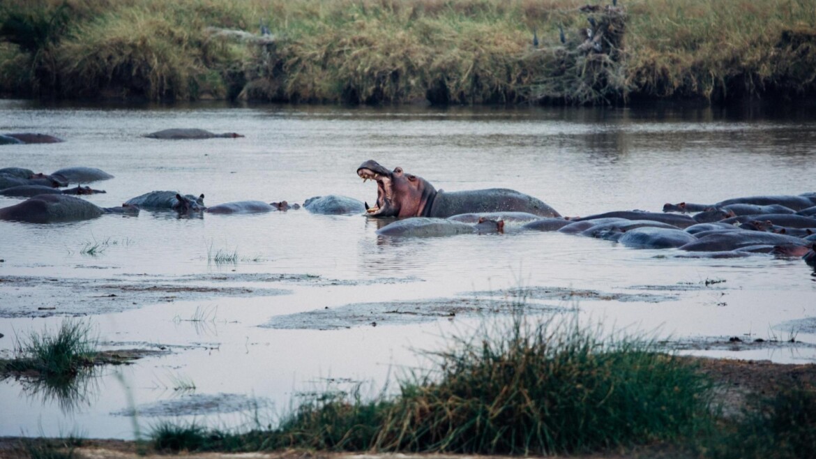 LAKE MANYARA NATIONAL PARK – A Jewel of Tanzania’s Northern Circuit