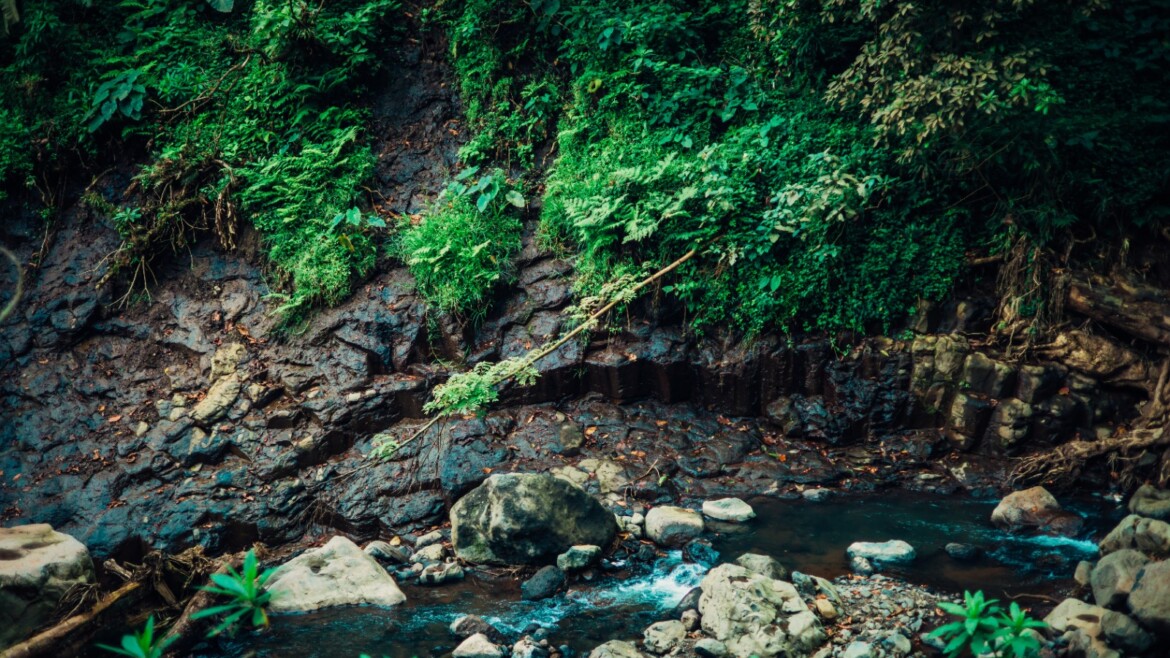 Chemka Hot Springs (Kikuletwa) – A Hidden Gem