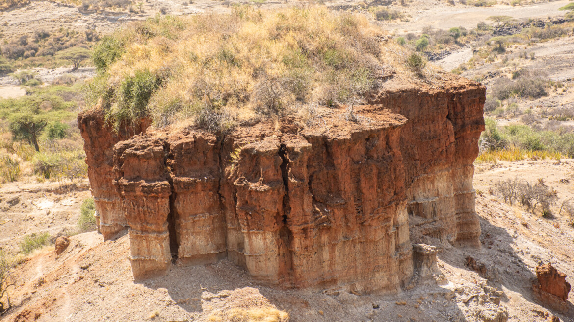 Ngorongoro Conservation area
