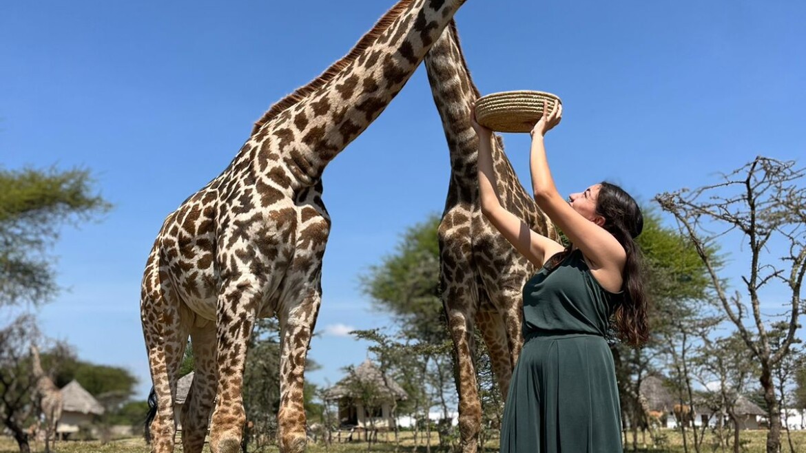 Serval Wildlife Sanctuary – Conservation Meets Luxury