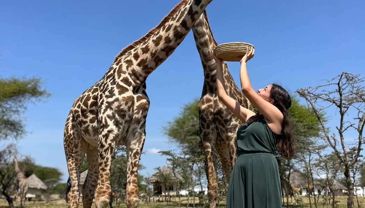 Serval Wildlife Sanctuary – Conservation Meets Luxury