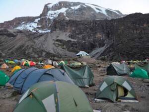 Mti Mkubwa to Shira 1 Camp