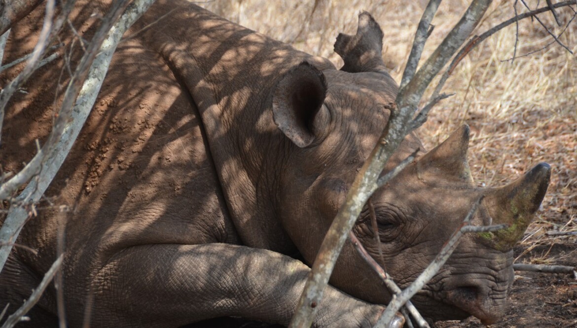 MKOMANZI NATIONAL PARK – A Hidden Wilderness of Northern Tanzania