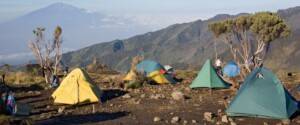 Mweka Camp to Mweka Gate