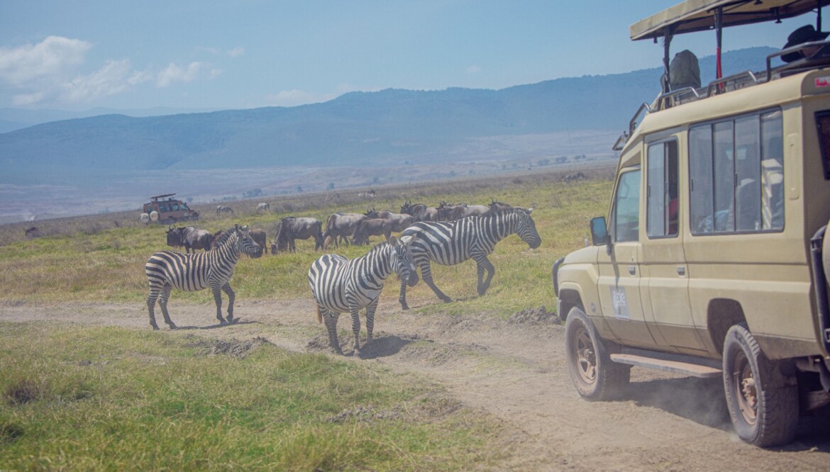 10 Days ( Nyerere, Mikumi and Ruaha)