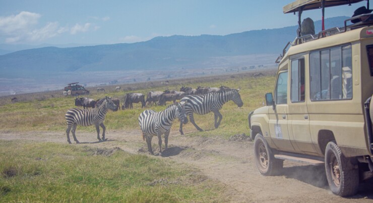 10 Days ( Nyerere, Mikumi and Ruaha)