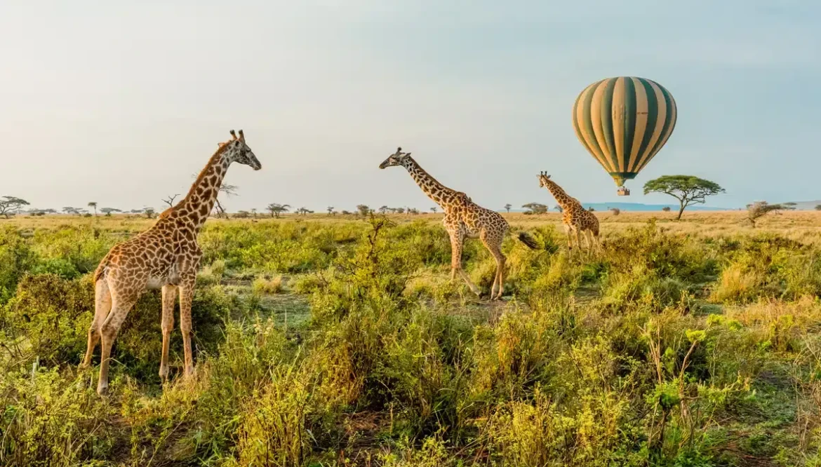 6-Day Luxury Safari Across Kenya & Tanzania