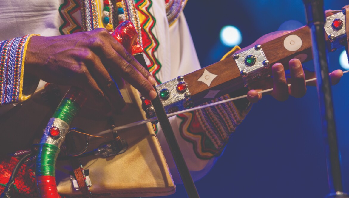 Vibrant Festivals with Soke Safari – Celebrate Culture & Traditions