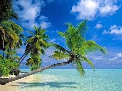 4-day Getaway to Zanzibar