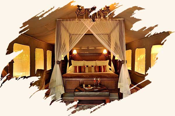 4-Day Luxury Tanzania Safari